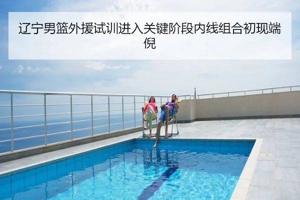 辽宁男篮外援试训进入关键阶段内线组合初现端倪